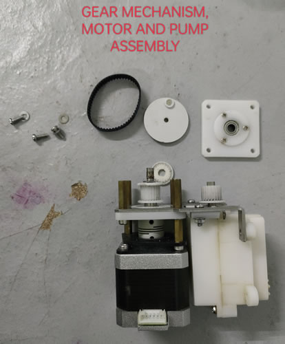 Infusion motor and pump assembly